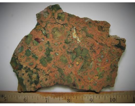 Rain Forrest Jasper Lapidary Slab