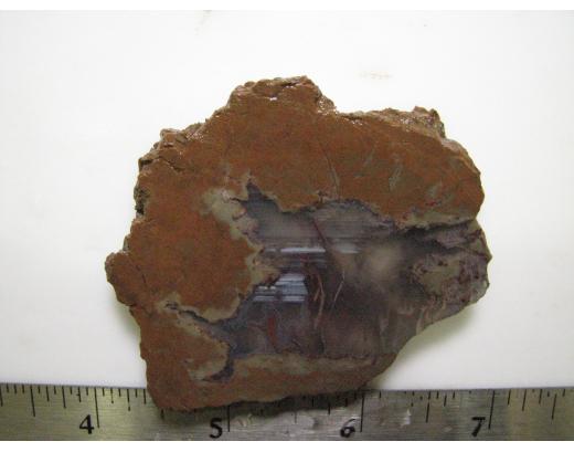 Red Moss Agate Lapidary Slab