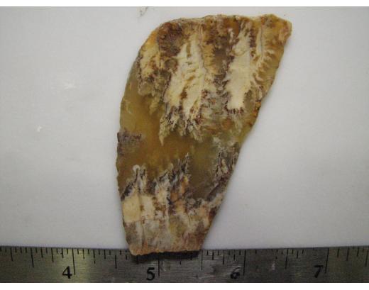 Regency Plume Agate Lapidary Slab