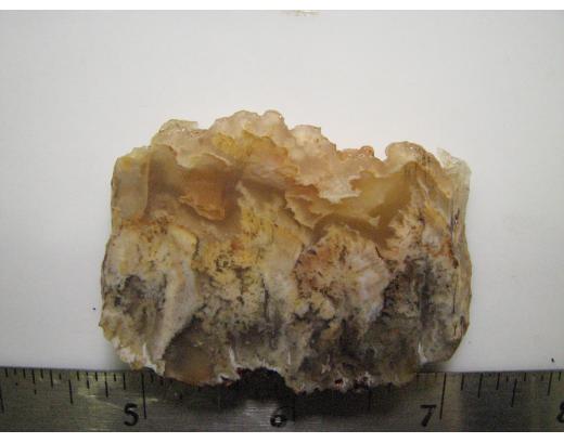 Regency Rose Plume Agate Lapidary Slab