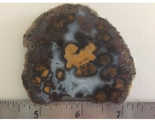 Sagenite Lapidary Slab