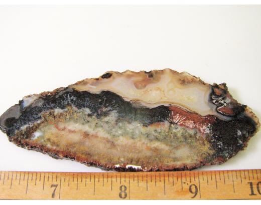 Sagenite Lapidary Slab