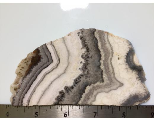Silver Lace Jasper Lapidary Slab