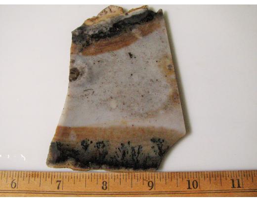 Snake River Agate Lapidary Slab