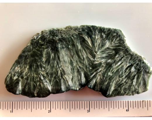 Russian Seraphinite Lapidary Slab